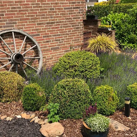 Dralle * Bergen (Lower-Saxony)